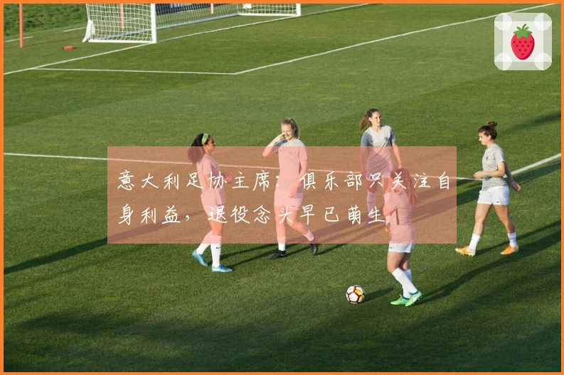 意大利足协主席：俱乐部只关注自身利益，退役念头早已萌生